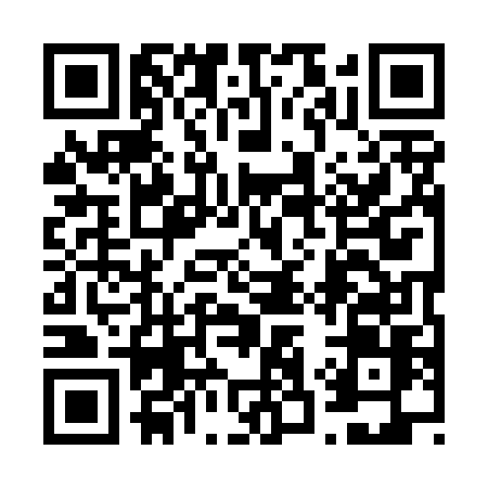 QR code for 6394PIE