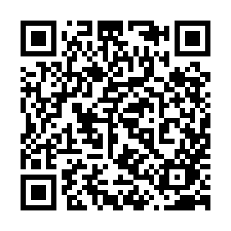 QR code for 6411HO