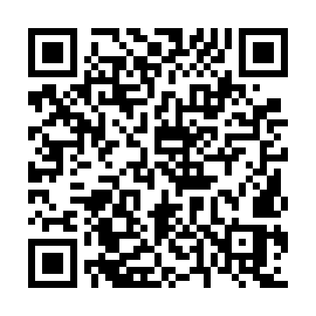 QR code for 6416MS