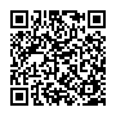 QR code for 6441SG
