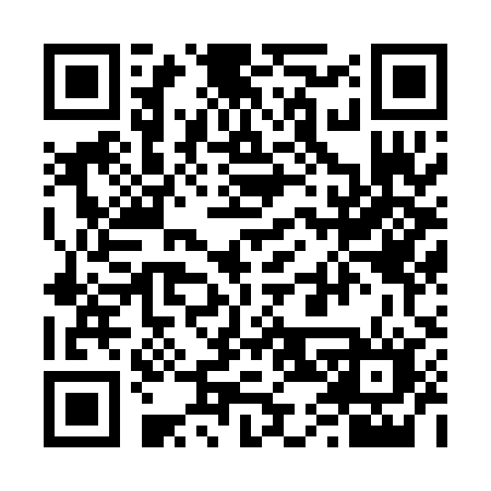QR code for 6460IN