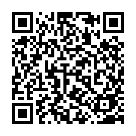 QR code for 6491IE
