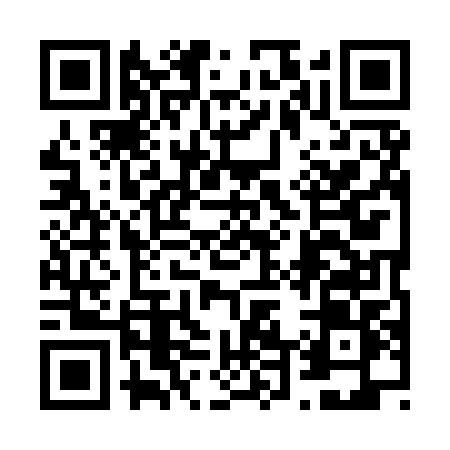 QR code for 6499PYI