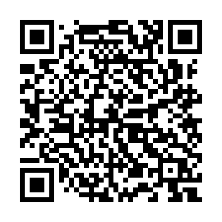 QR code for 6529DP