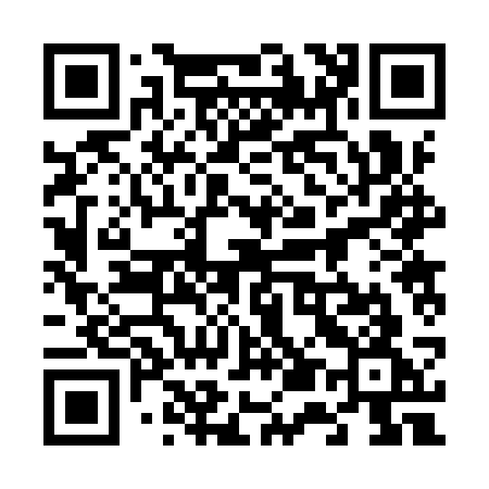 QR code for 6529SG
