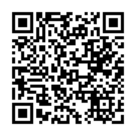 QR code for 6533PG