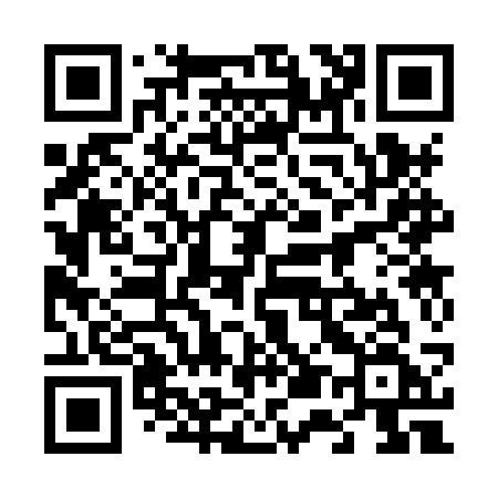 QR code for 6538SF