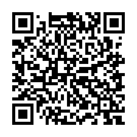 QR code for 6541NI