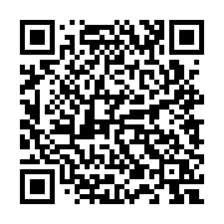 QR code for 6541PQ