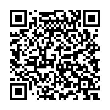 QR code for 6541PT