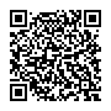 QR code for 6541QK