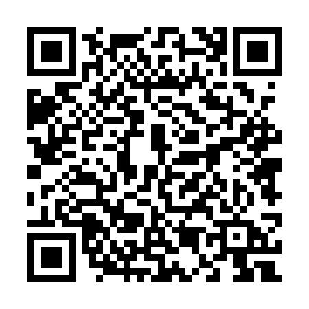 QR code for 6541SAR