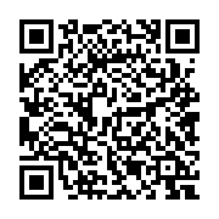 QR code for 6541VFO