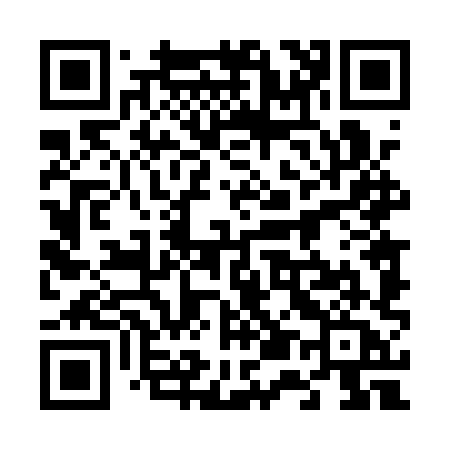 QR code for 6541XA