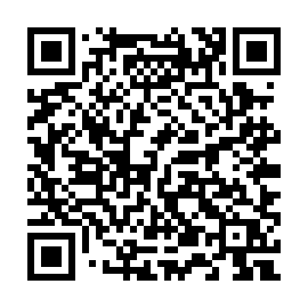 QR code for 655PHP