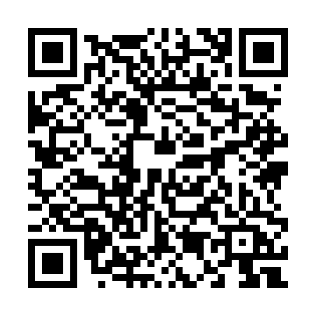 QR code for 6594PCS