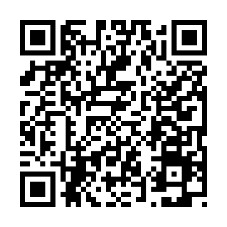 QR code for 6595PNM