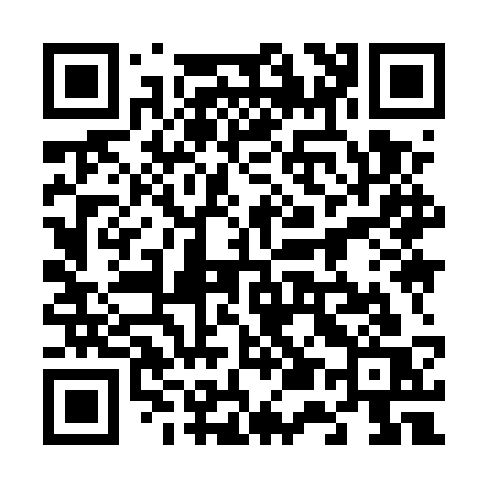 QR code for 6595SS