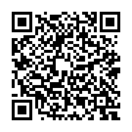 QR code for 6596DMI