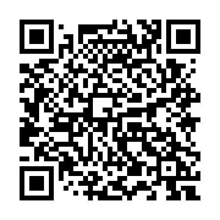 QR code for 6597PG