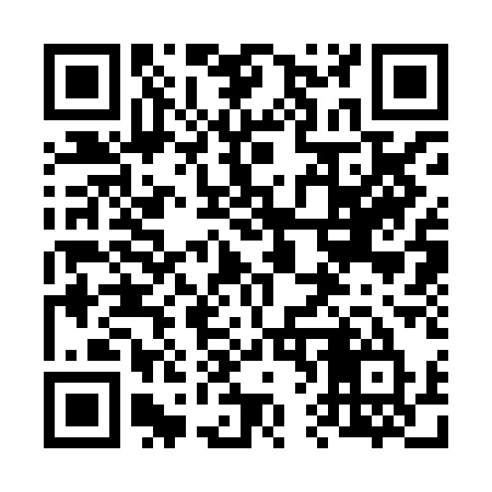 QR code for 6638AU