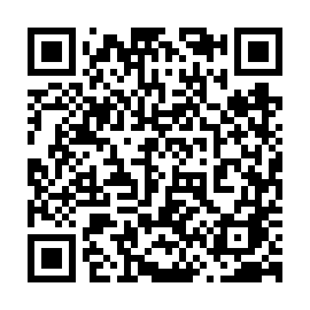QR code for 6656TA