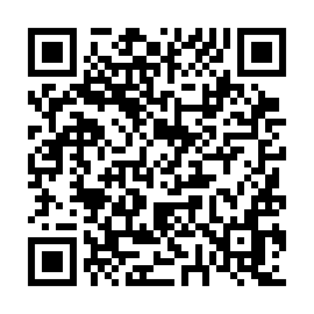QR code for 6743IN