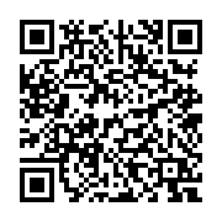 QR code for 6838DPS