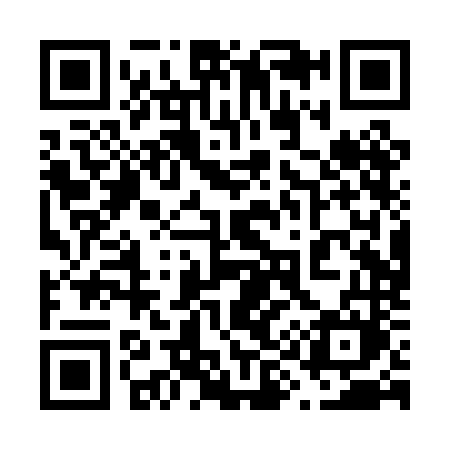 QR code for 690PNM