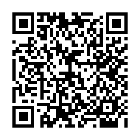 QR code for 6955ANS