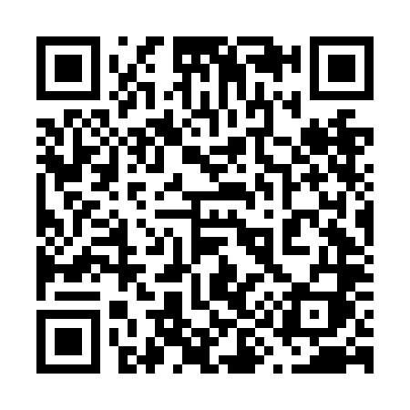 QR code for 696NLI