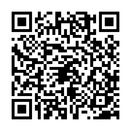 QR code for 6981DPP