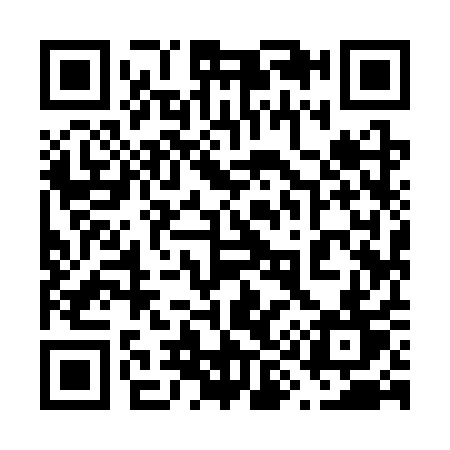 QR code for 6993QT