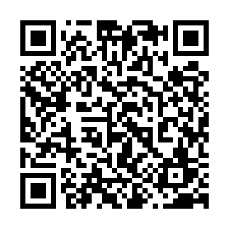 QR code for 6995SV