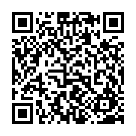 QR code for 699IRN