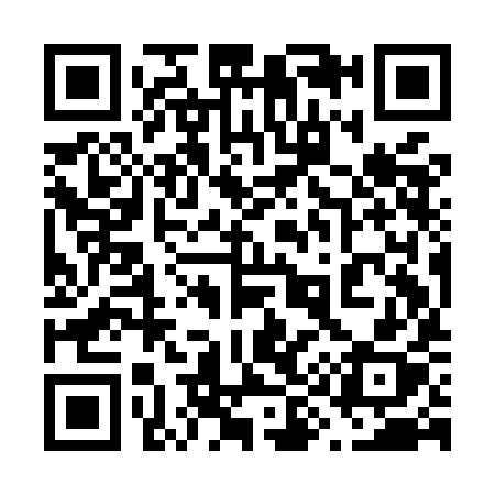 QR code for 699MIX
