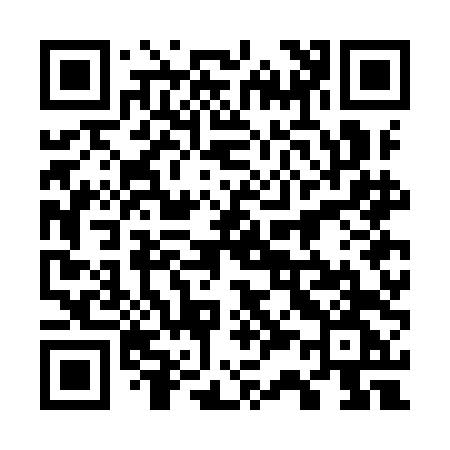 QR code for 737IDG