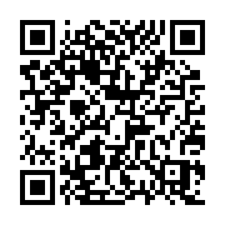 QR code for 737RPS