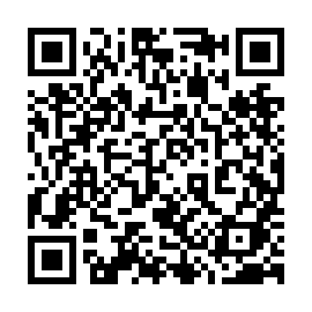 QR code for 738NHI