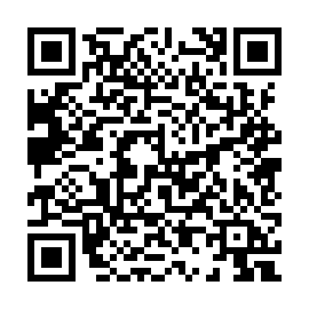 QR code for 8009ZAM