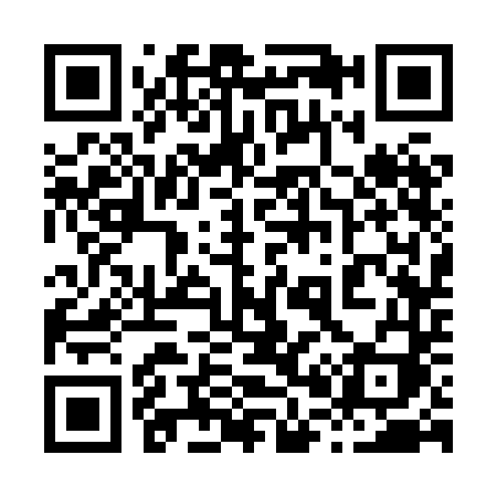 QR code for 8038DI
