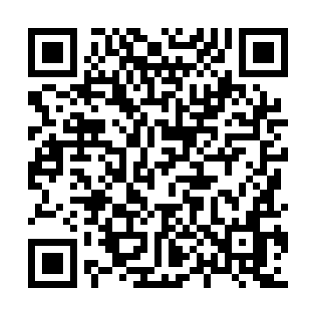 QR code for 8081IN