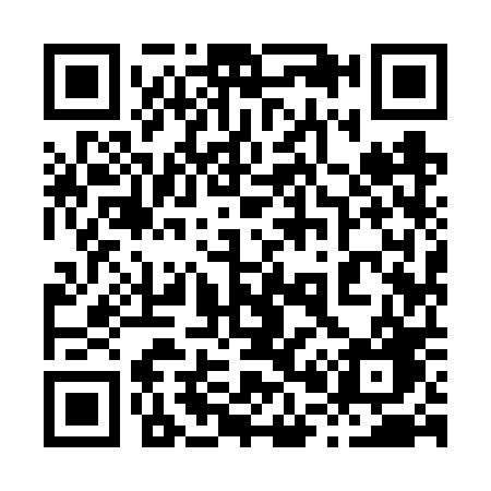 QR code for 8096PG