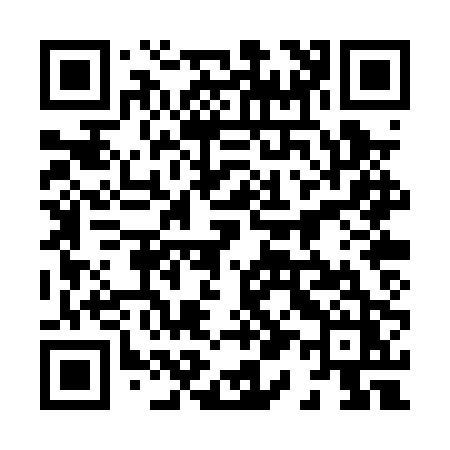 QR code for 810PPZ