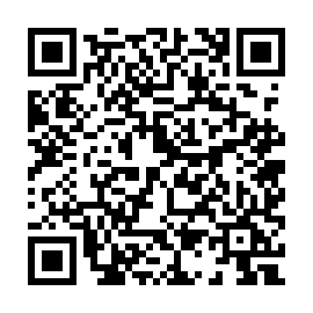 QR code for 8171HGP