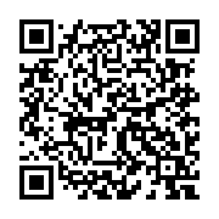 QR code for 817MIS