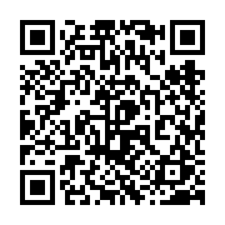 QR code for 8196BS