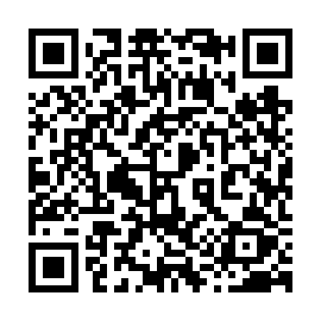 QR code for 8196RZ