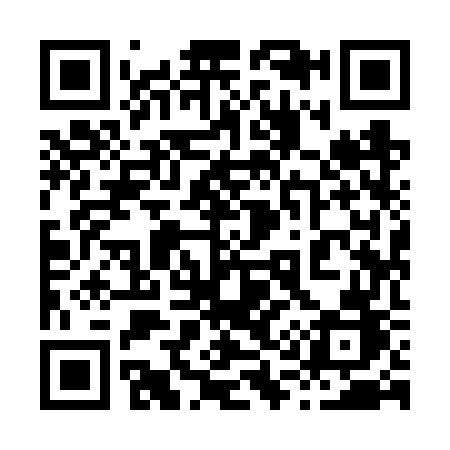 QR code for 8196WB