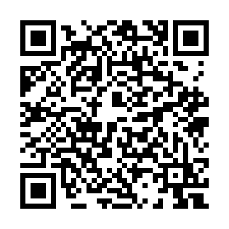 QR code for 8213CZP